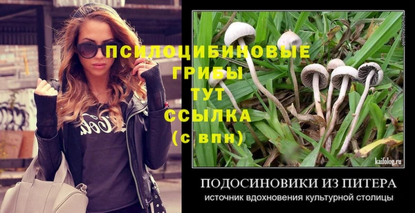 mdma Краснослободск