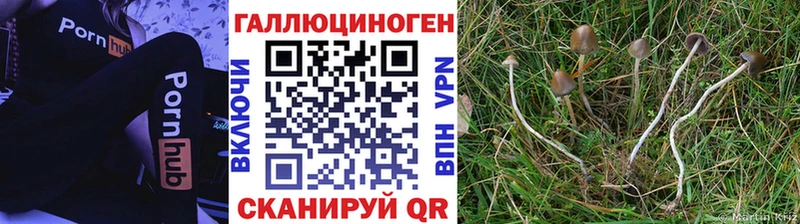 Псилоцибиновые грибы Psilocybine cubensis  Керчь 