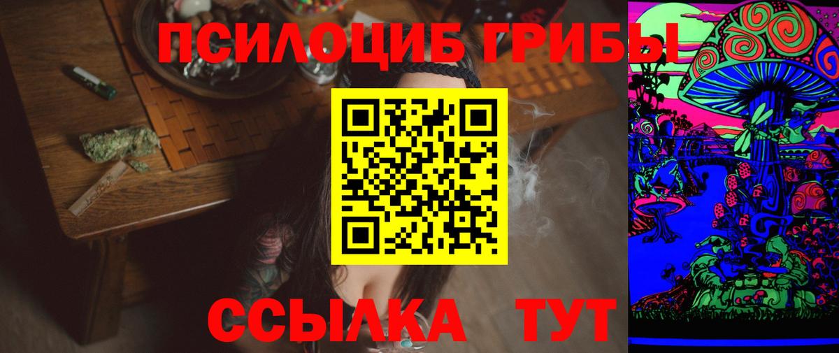 Керчь  Псилоцибиновые грибы Psilocybine cubensis  как найти наркотики  Вход с VPN 