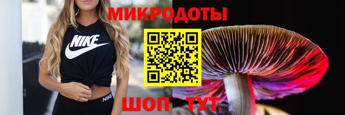 МЕФ Керчь